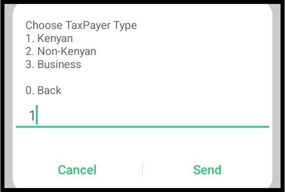 Choose Taxpayer Type – Select Option 1 (Kenyan)