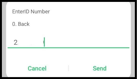 Enter Your National ID Number