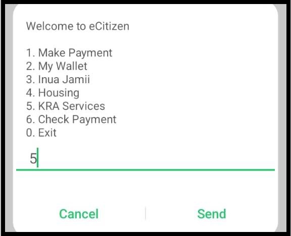 Select Option 5 – KRA Services