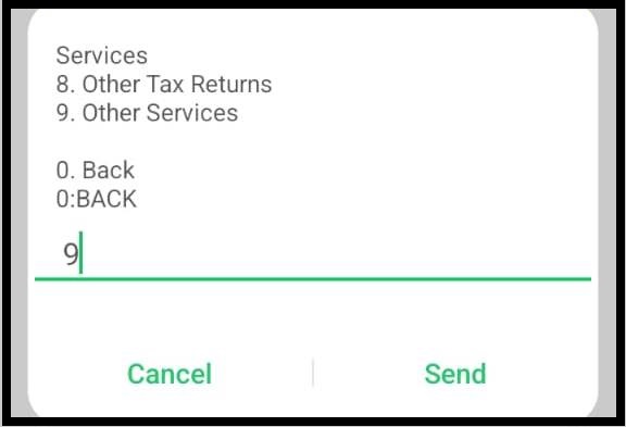 Select Option 9 – Other Services