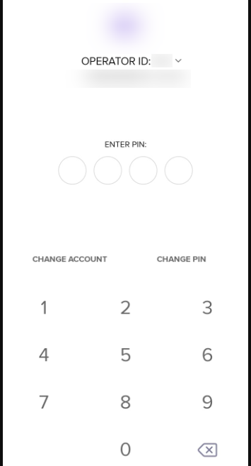 enter business app pin
